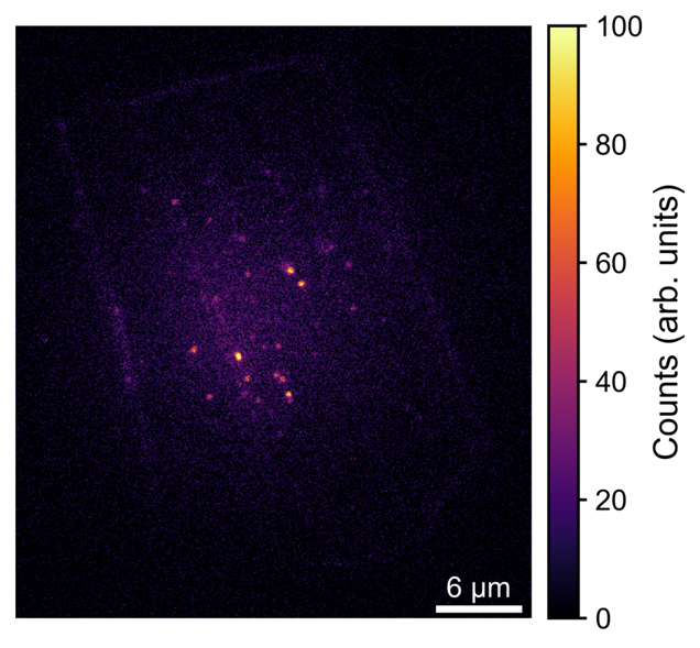 Photoluminescence image of molecules under hexagonal boron nitride