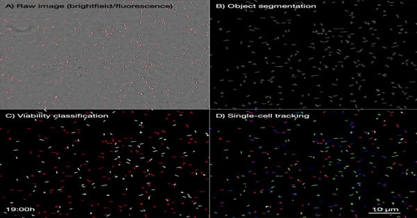 article primary image