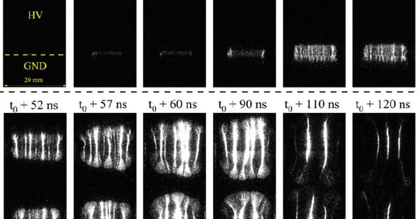 article primary image