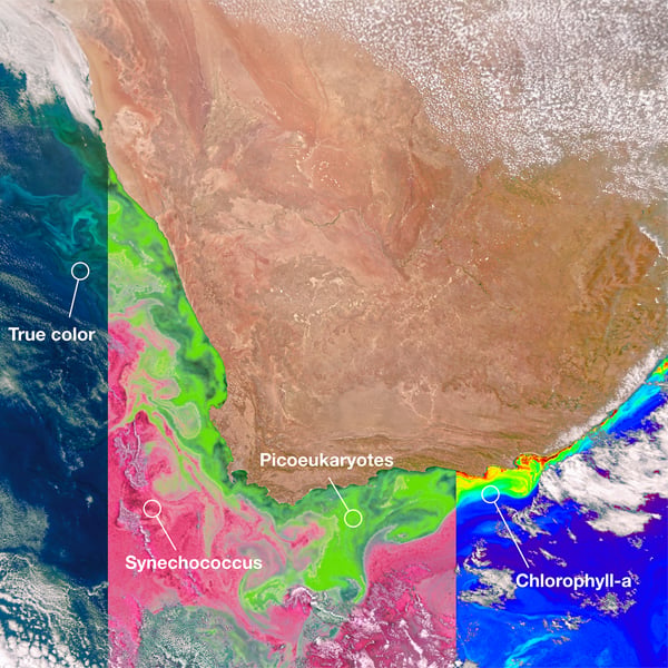 earth_observation_600px.jpg
