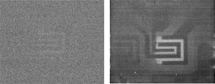 Signal to Noise_439px.jpg