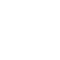 icon-speed-white.png