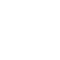 icon-vehicle-inspection-white.png