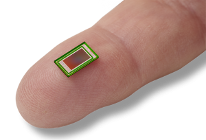 Topaz_700-300x204.png
