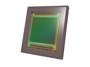 Emerald-XL-1.png