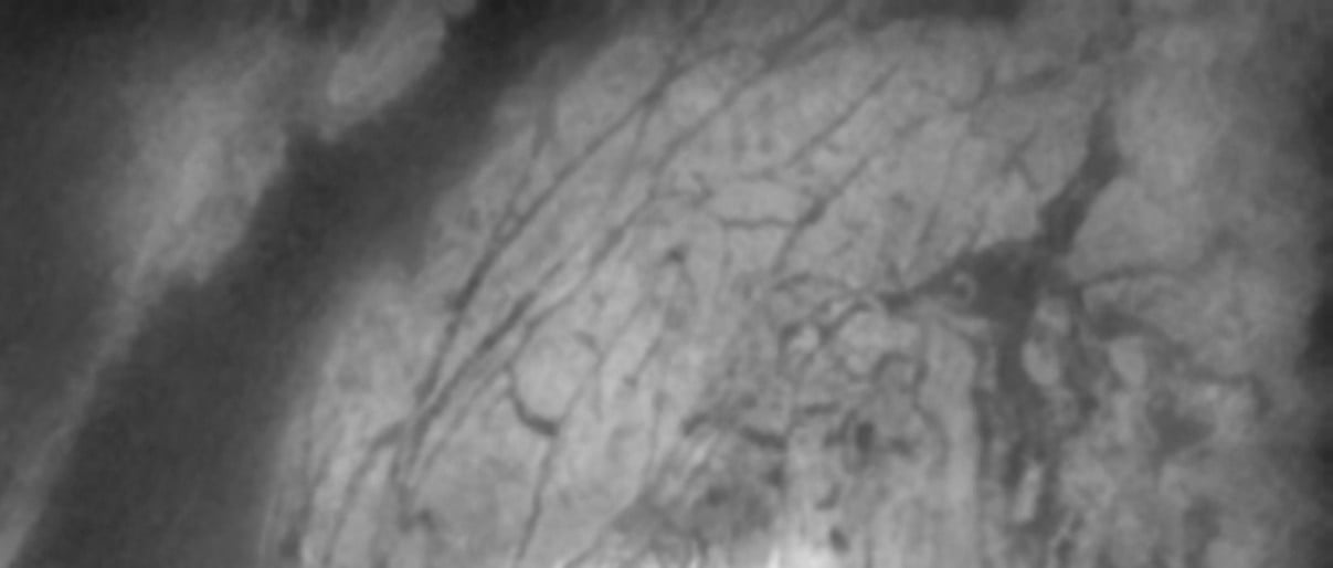 article primary image
