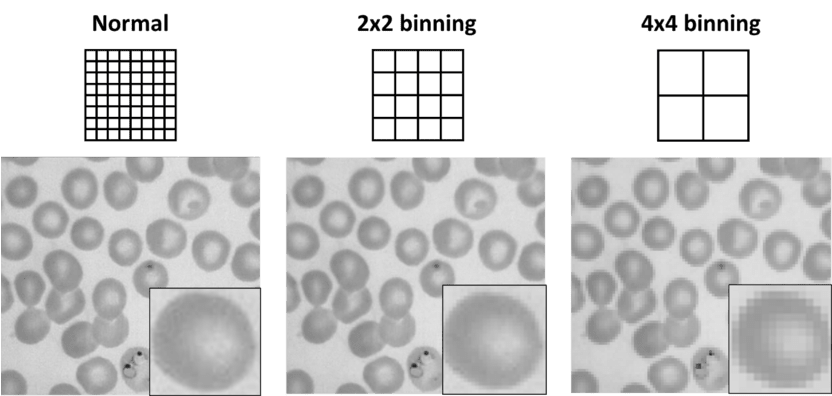 Hybrid Binning_images-2.png