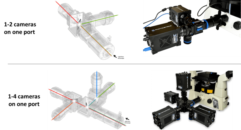 Introduction To Splitters_images-6.png