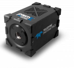 Prime95B-Teledyne-big-logo-with-shadow-300x276.png