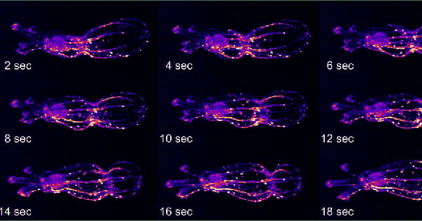 article primary image