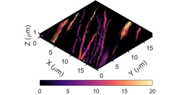 article primary image