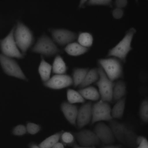 Quantitative Biological_image_1.jpg