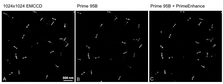 Super-Resolution Microscopy_images-1.jpg