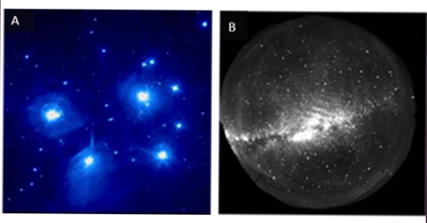 article primary image