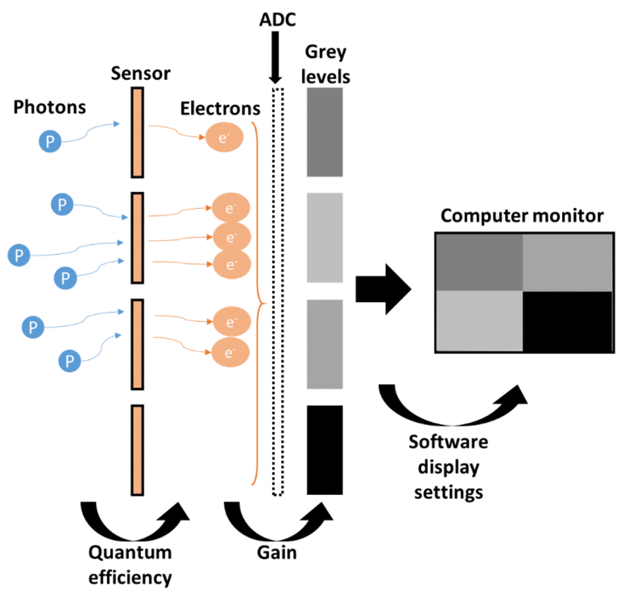 Image-generation.png