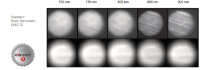 excelon-etaloning-nir-emccd (1).png