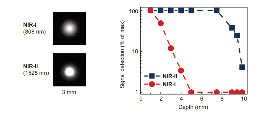 Scientific InGaAs Cameras For NIR-II Imaging-images-2.png