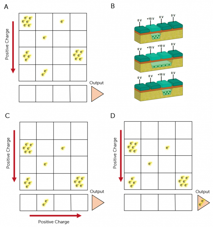 CCD-Charge-Transfer-964x1024.png