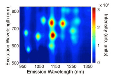The Development of Carbon Nanotube Optical Sensors for Early Disease Detection_image_4.png