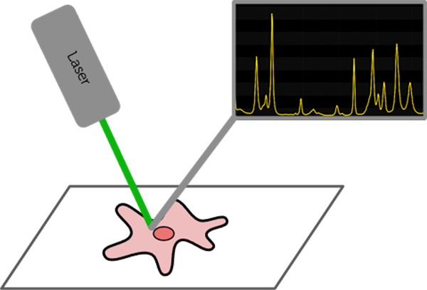 Microspectroscopy.png